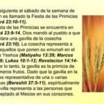 Las Primicias en la Biblia - Significado y Ejemplos