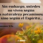 Prédicas para Mujeres Cristianas - Inspiración y Fe